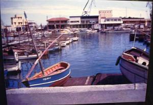 CRISTAL LIMINANA (45) parEdouard Vasserot